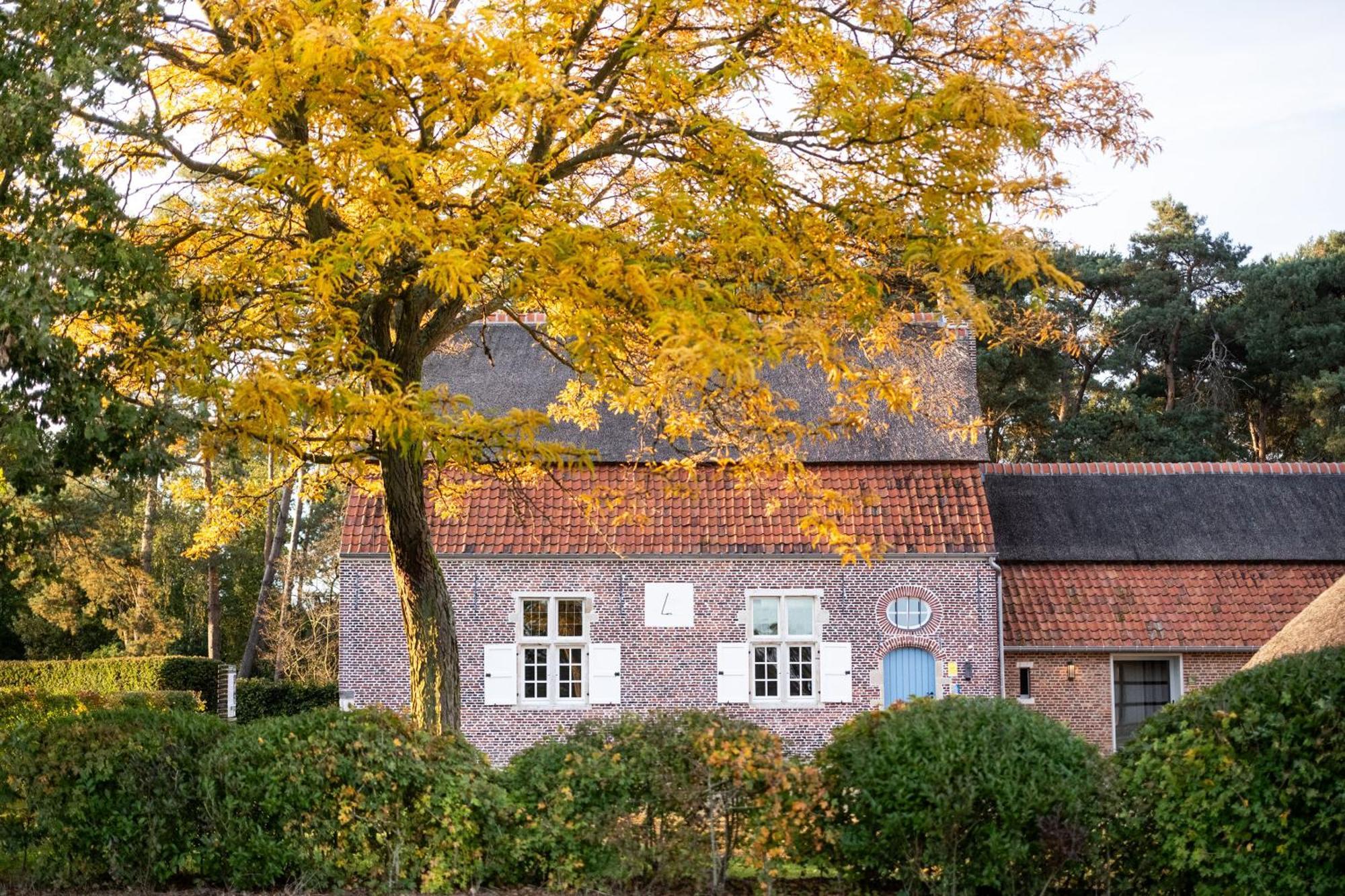 Beddermolen - Molenhuis Op Historisch Erfgoeddomein Westerlo Luaran gambar